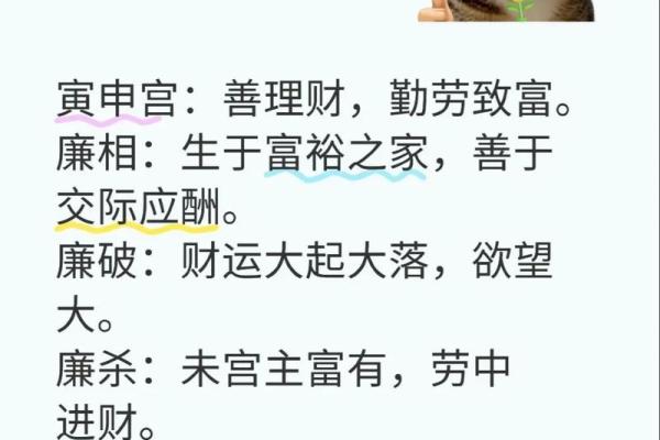 紫微斗数：廉贞星