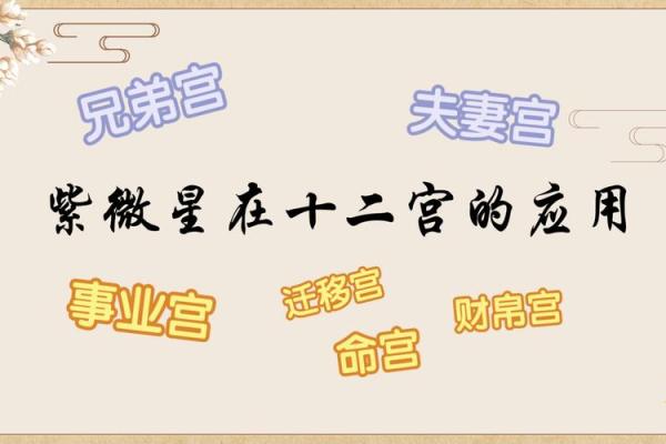 紫微斗数色星 紫微斗数颜色？
