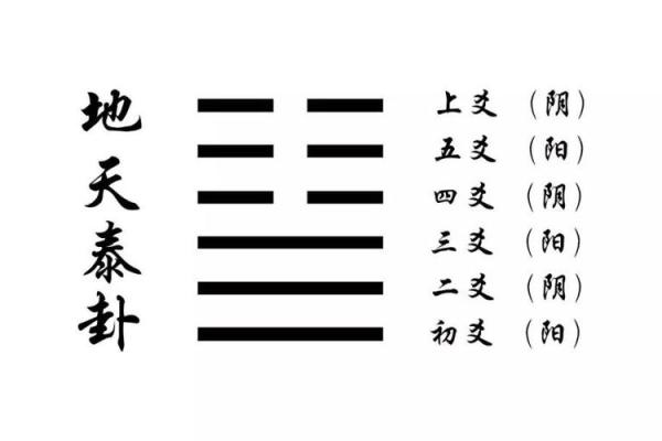 算命出生地是指医院吗