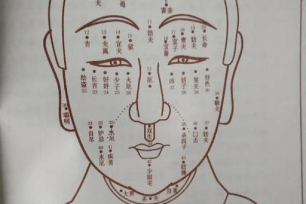 面相眉毛淡的男人 男生面相算命