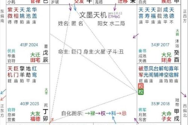 紫薇斗数流年太阳化忌