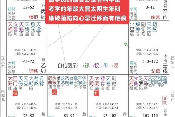 甲戌年午时生人紫微斗数 甲午日甲戌时八字？