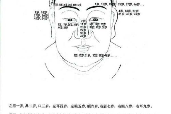 算命看面