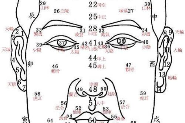 算命看面