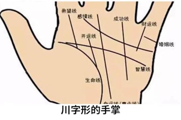 手纹线图解大全男人手相 男人算命看左手还是右手