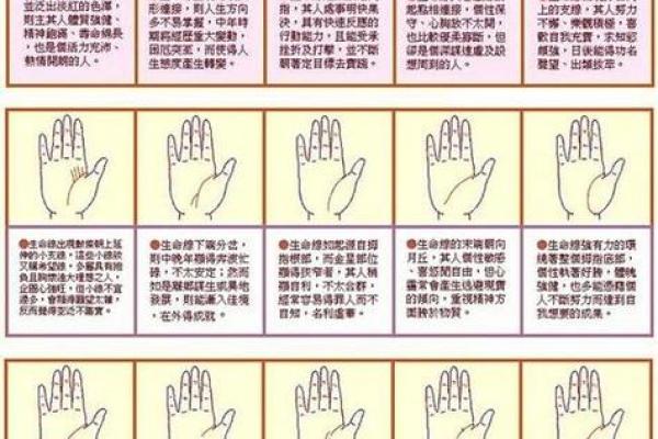 手纹线图解大全男人手相 男人算命看左手还是右手