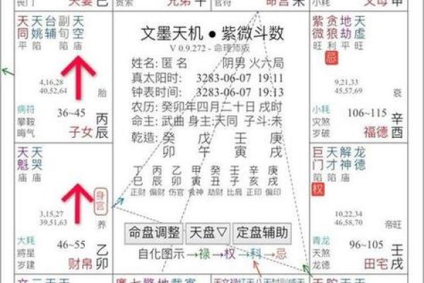 紫薇斗数中最重要的是身宫