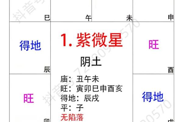 如何看紫薇星在什么宫