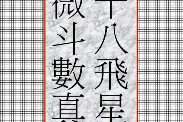 紫微斗数飞星看姻缘 紫微斗数飞星什么意思？