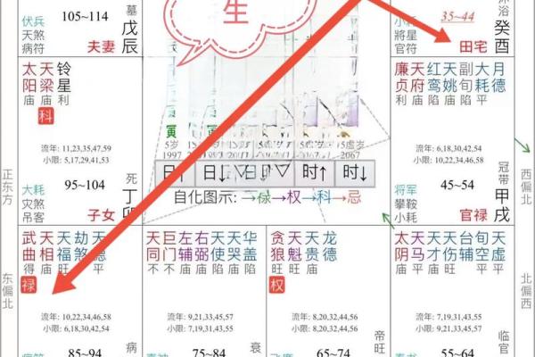 紫薇斗数解盘許