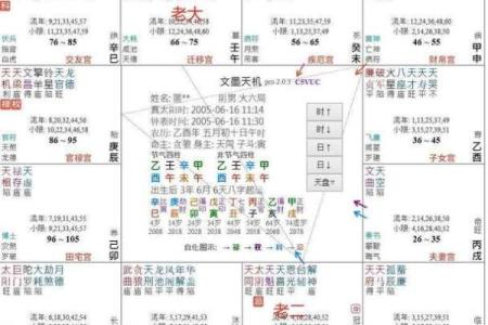 紫微斗数之生年干四化表象：疾厄宫四化表象