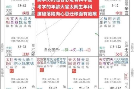 甲戌年午时生人紫微斗数 甲午日甲戌时八字？