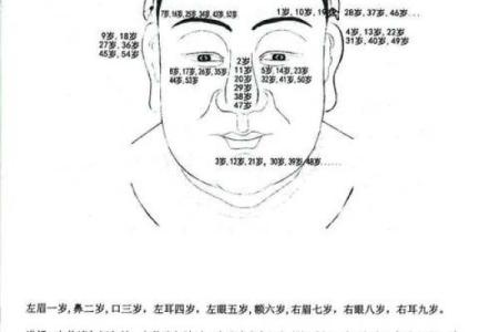 算命看面