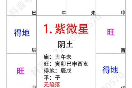 如何看紫薇星在什么宫
