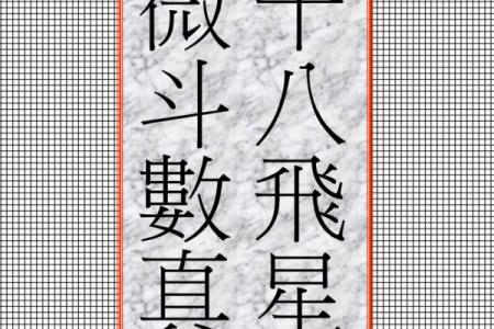 紫微斗数飞星看姻缘 紫微斗数飞星什么意思？