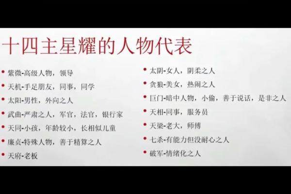 紫薇斗数精成大家