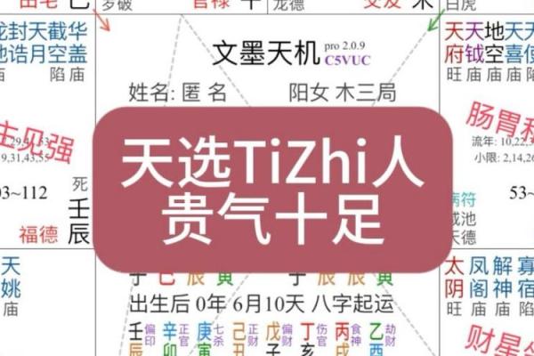 紫薇斗数看仕途