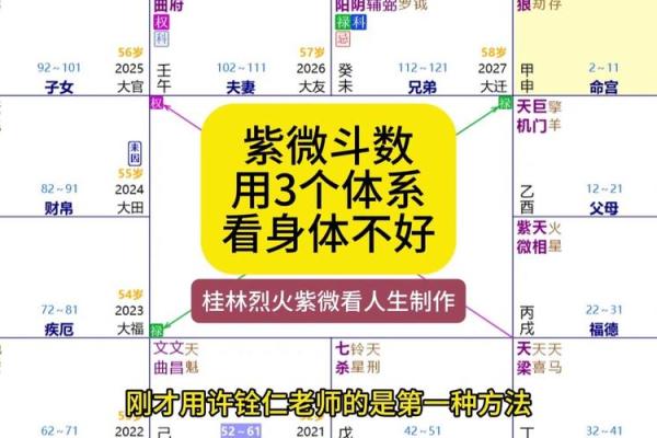 紫薇斗数看领导