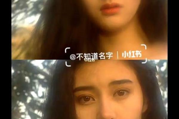 李嘉欣紫薇斗数