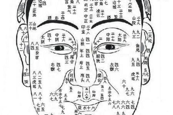 眼皮看面相算命