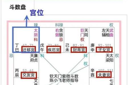 紫薇斗数文书位