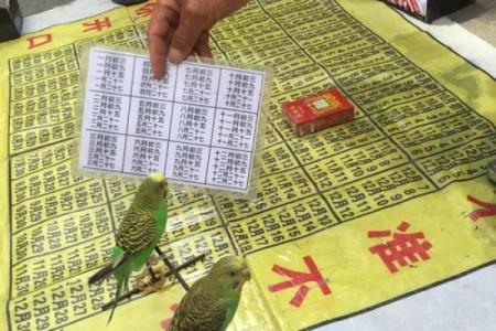 珠海算命