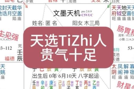 紫薇斗数看仕途