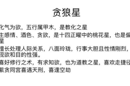 紫微斗数之贪狼星坐命宫 ，是什么意思？