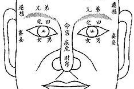 眼皮看面相算命
