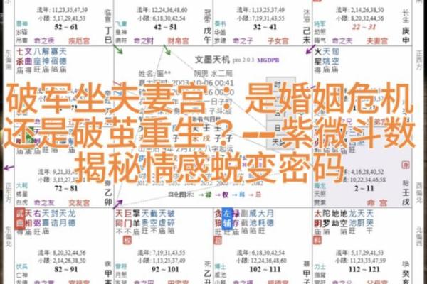 紫薇斗数婚姻墓