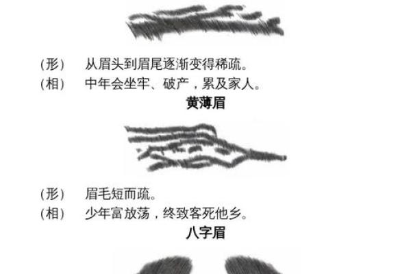 人脸算命