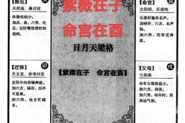 会紫薇斗数的人