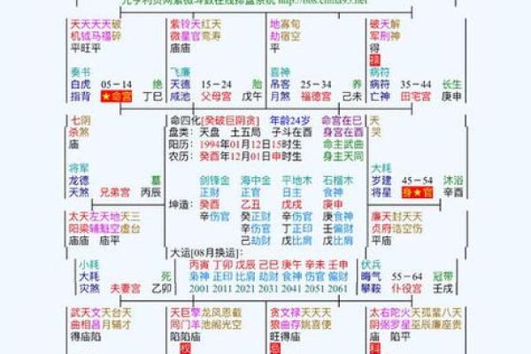 紫薇斗数大子女