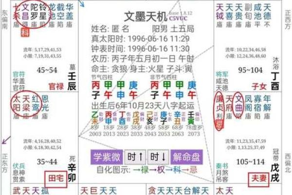 紫微斗数红鸾在官禄宫