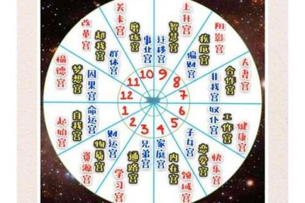 紫薇斗数看子孙