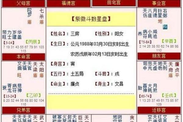 紫薇斗数看子孙