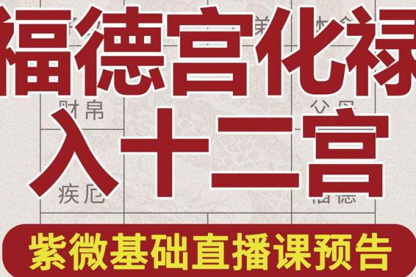 紫薇斗数福禄宫