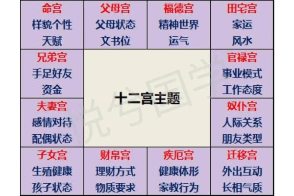 紫薇斗数亥宫