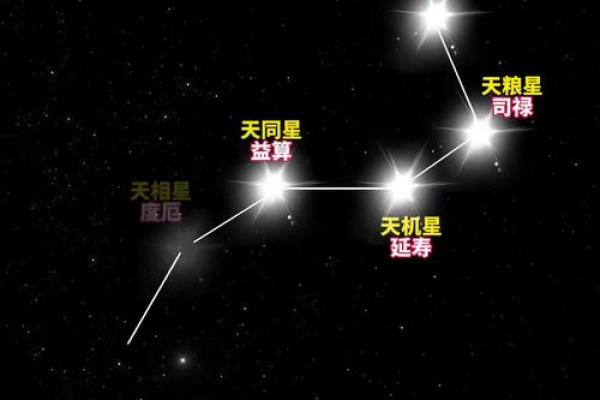 北斗星和紫薇星的区别是什么意思啊