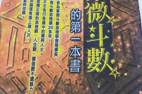 紫薇斗数案例书籍