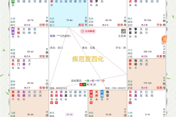 紫薇命盘疾厄宫廉贞天相