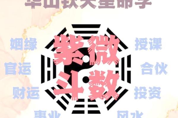 紫薇斗数看兄弟宫化权