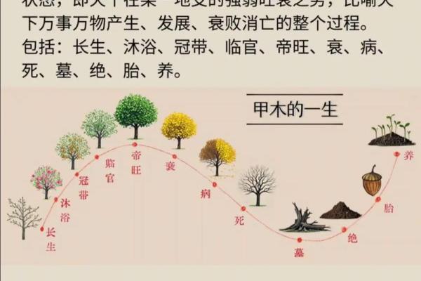 算命国学经典