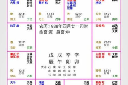 紫薇斗数和太乙神数哪个好