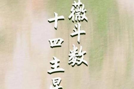 紫微斗数十四主星：贪狼星概论
