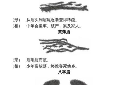 人脸算命