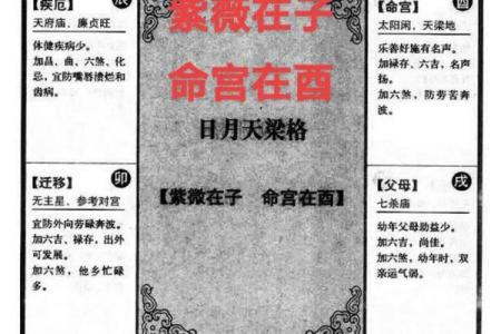 会紫薇斗数的人