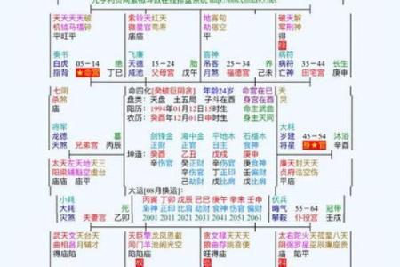 紫薇斗数大子女