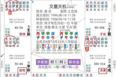 紫微斗数红鸾在官禄宫