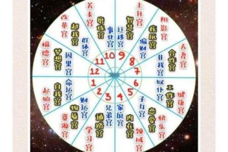 紫薇斗数看子孙